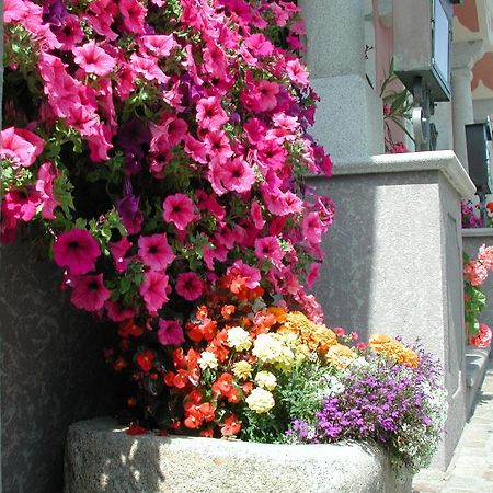 Hotel Sammer Neufelden Kültér fotó