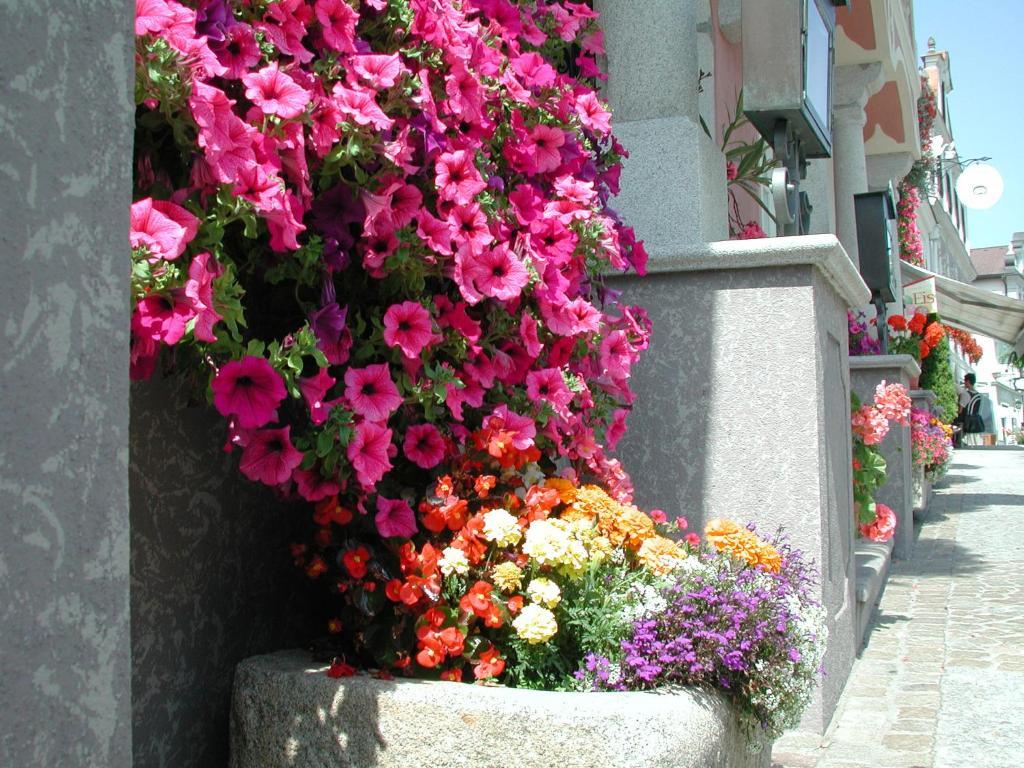 Hotel Sammer Neufelden Kültér fotó